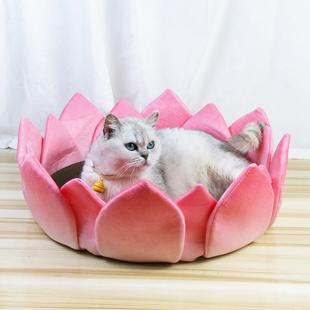 Cat Scratcher Bed Cardboard 16.5x6.7inch Lotus Throne Shape Round Thickened Sturdy Corrugated Material Kitten Sleeping Nest for Indoor Cats Walmart Business Supplies
