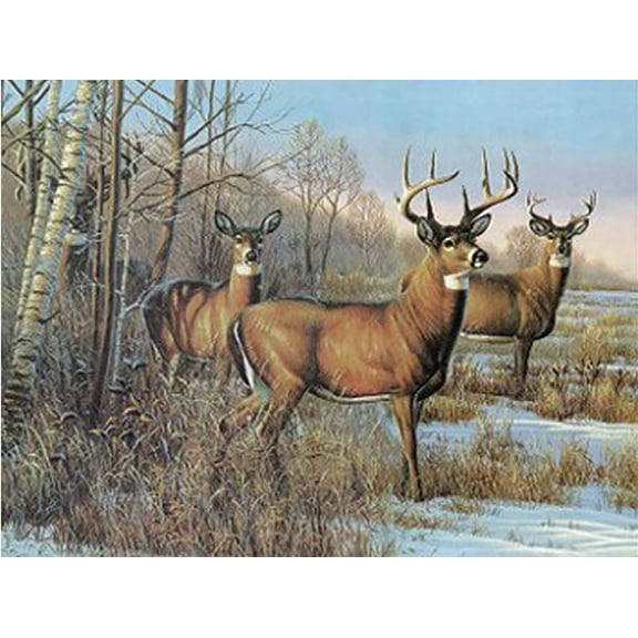 Deer - 3D Lenticular Poster -12 x 16 Print