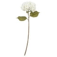 thumbnail image 1 of 32.5" x 9" White Hydrangea Stem 3/Bag, 1 of 1