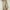 Beige, variant on Women's Capris Clearance Overalls Capri Pants Lightweight High Waist Loose Capris Drawstring Straight Stretch Sweatpants Khaki L