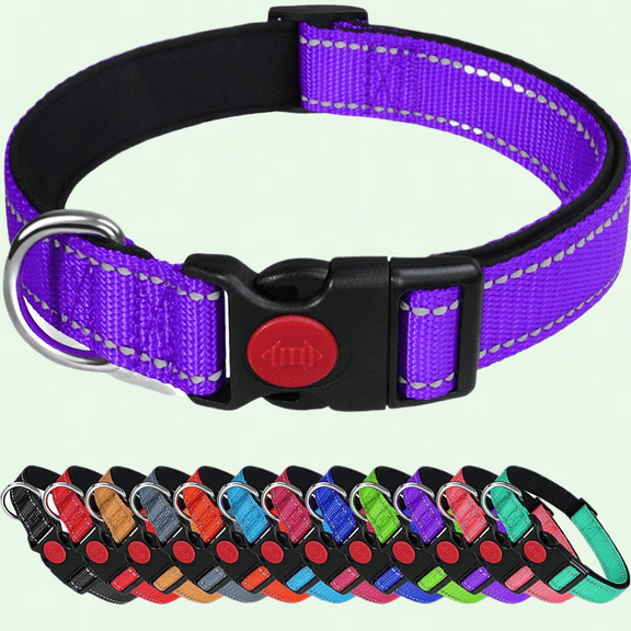Adjustable Reflective Dog Collar with Safety Locking Buckle, Violet, L