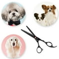 thumbnail image 5 of Dog Grooming Scissors 6 Inches Pet Stainless Steel Curved Scissor Suit, 5 of 5