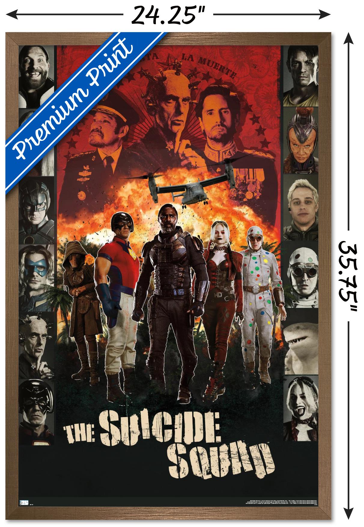 DC Comics Movie The Suicide Squad - Battle Group Wall Poster, 22.375" x 34", Framed