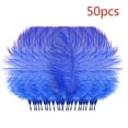 thumbnail image 2 of Clearance! Fdelink Feathers Decoration 50 Pcs Colourful Plumage for Wedding Party Centerpieces Flower Arrangement Home Decoration Diy Middle Floating Plume Hair Clothing Craft Decoration Plumage, 2 of 3