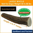 thumbnail image 6 of Deluxe Naturals 1-Pound Large Elk Antler Dog Chews, Natural Long-Lasting Chew Treat for Medium and Large Dogs, 6 of 10