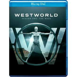 Westworld: The Complete First Season (DVD) - Walmart.com