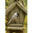 thumbnail image 2 of Illg, Cathy and Gordon 23x32 White Modern Wood Framed Museum Art Print Titled - North Carolina, Carolina chickadee at birdhouse, 2 of 4