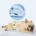 thumbnail image 5 of Zhaomeidaxi Dog Sanitary Panties with Suspenders，Adjustable Pet Underwear Diaper for Male Female Dogs，Physiological Pants Cotton Jumpsuit Briefs for Female Dogs, 5 of 8