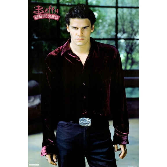 Angel David Boreanaz Poster #01 11x17in Multi Color Rectangle Bad Dog Posters