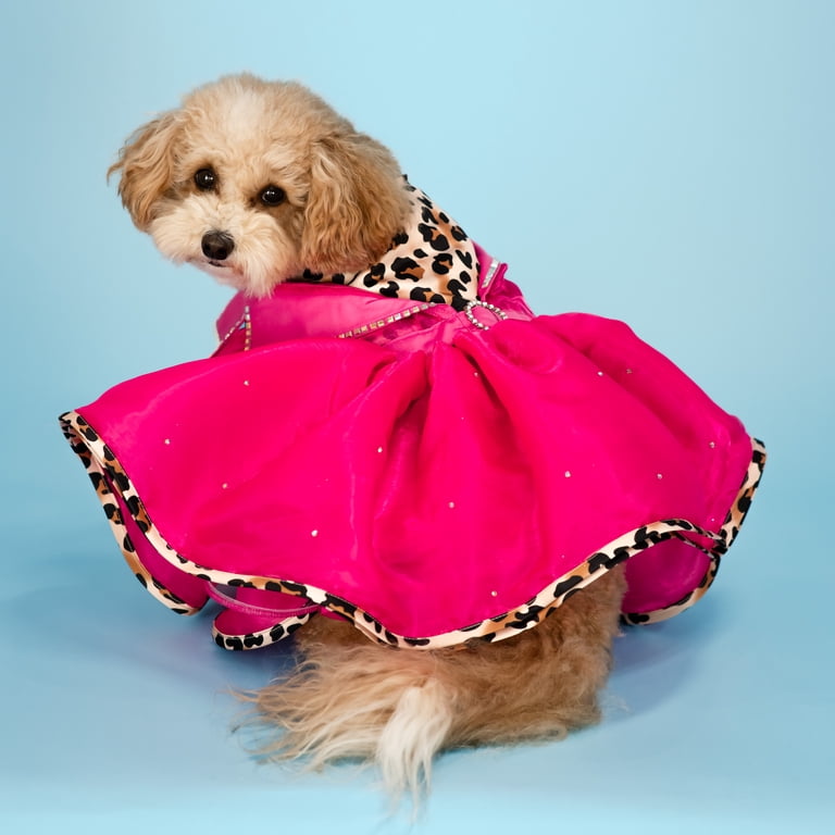 pink dog dress Laifug Puppy Print Princess Dog Dress Cute Party Wear (Pink, M) : Pet Supplies Hot pink athleisure dog dress for small dogs and cats Doggy Parton, Dog Clothes, Leopard