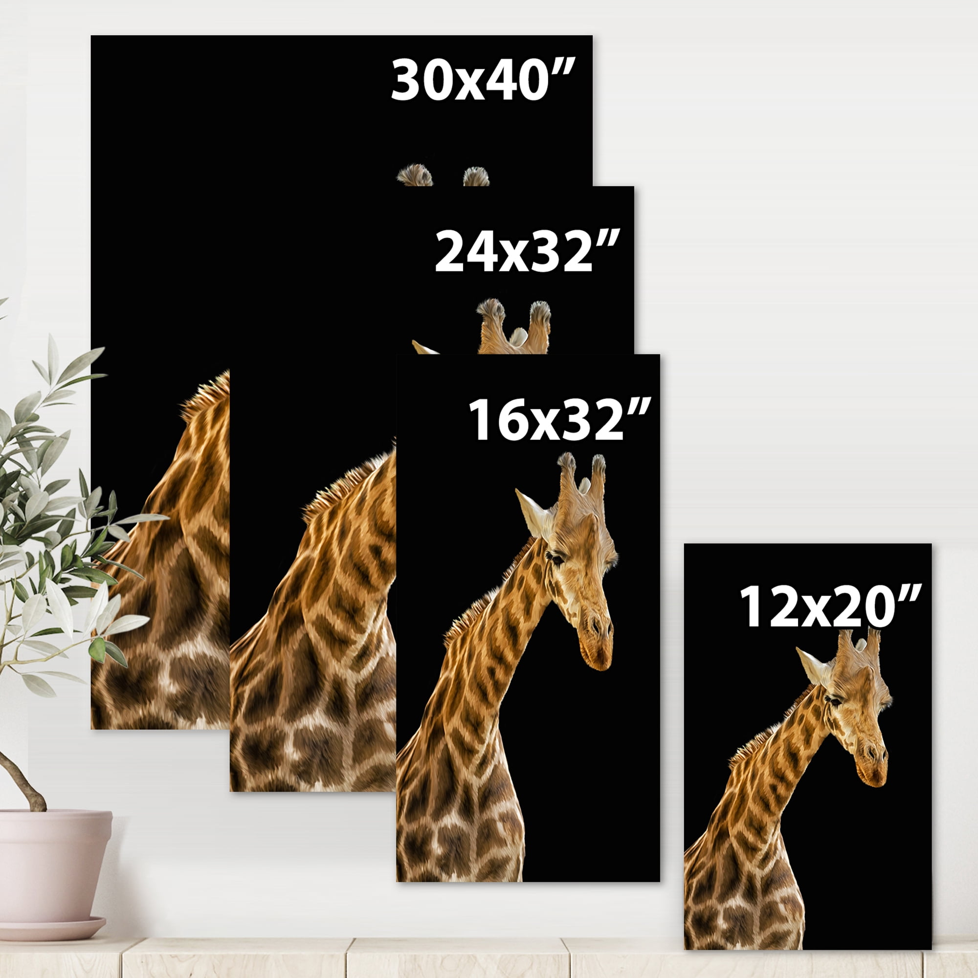 Designart ' Portrait of A Giraffe On Black Background II ' Farmhouse Canvas Wall Art Print