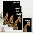 thumbnail image 4 of Designart ' Portrait of A Giraffe On Black Background II ' Farmhouse Canvas Wall Art Print, 4 of 4