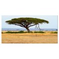 thumbnail image 2 of Acadia Tree and Cheetah in Africa - Oversized African Landscape Canvas Art, 2 of 3