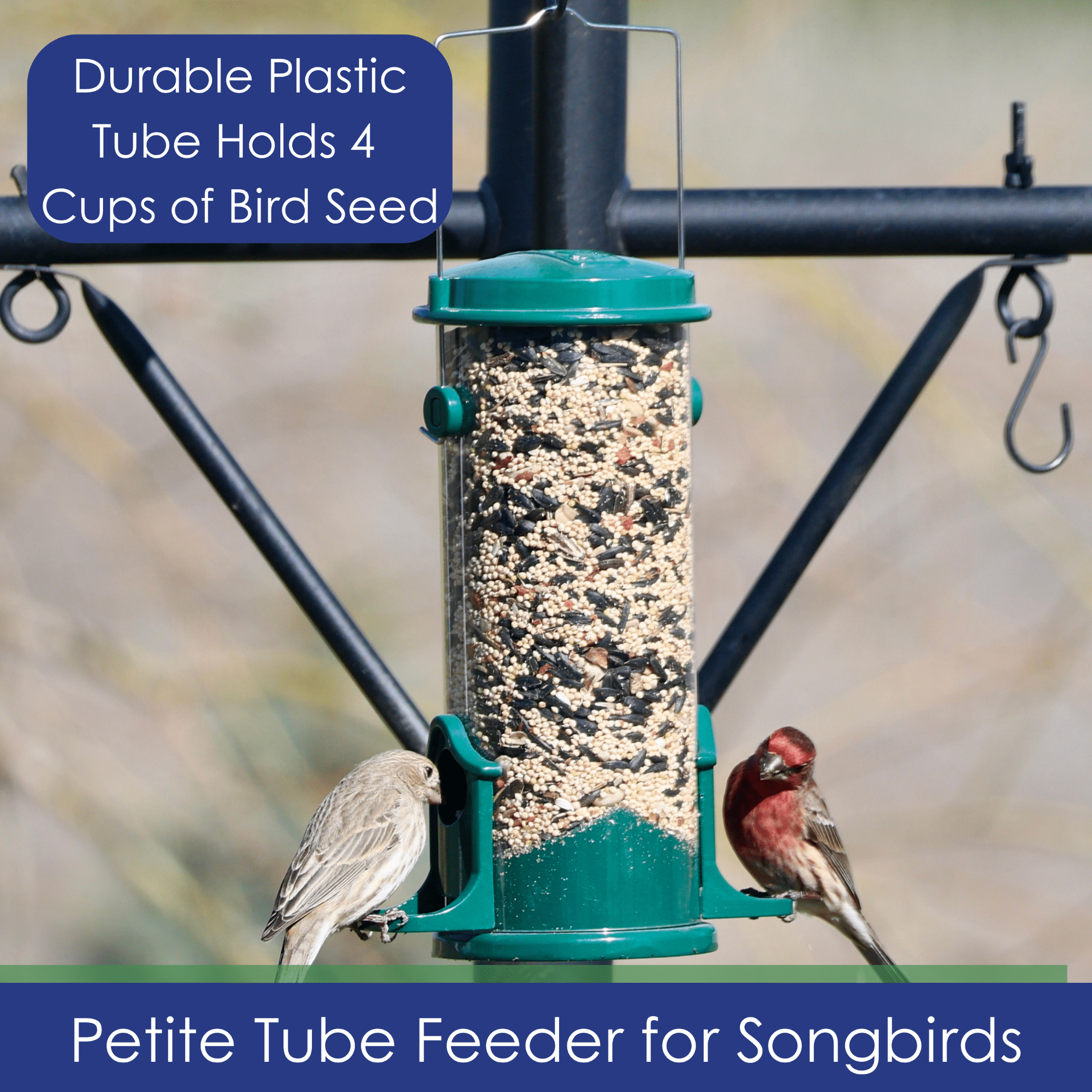 Backyards Essentials Tube Bird Feeder Petite Green Metal Finch Feeder, 4 Cup Capacity