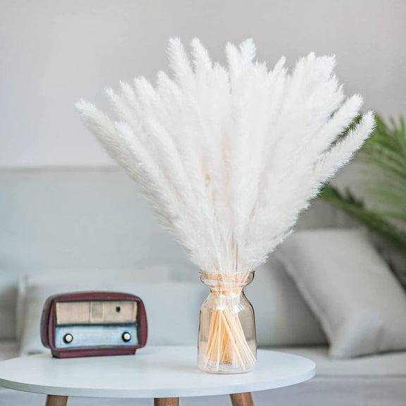 SEELOK 30Pcs Dried Pampas Grass -Natural,17 Inch Reed Grass Plumes, for DIY Home Kitchen Wedding Party Decor(White)