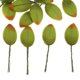 thumbnail image 3 of Paquete de 200 Flores Artificiales para Decoración de Bodas, Estilo Elegante, 3 of 9