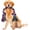 1 Pack-Large, variant on XL Dog Chew Toys for Aggressive Chewers Large Breed, 14 Pack Tough Indestructible Dog Toys for Aggressive Chewers, Durable Puppy Chew Toys for Teething, Heavy Duty Cotton Rope Toys