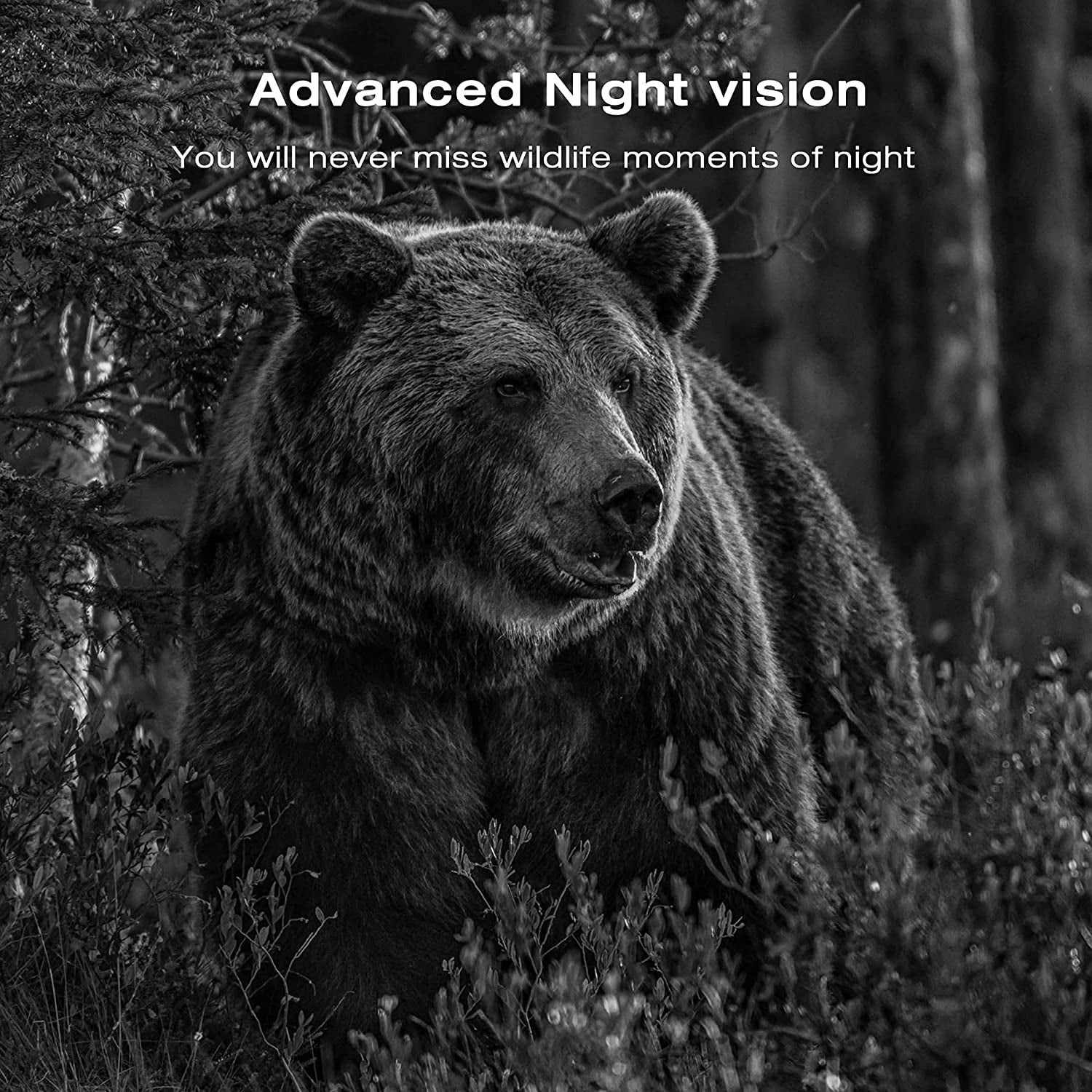 CAMPARK Solar Trail Camera 4K Native 30FPS 30MP, WiFi Bluetooth Game Camera with 120°Wide-Angle Motion Activated Night Vision IP66 Waterproof for Wildlife Monitoring
