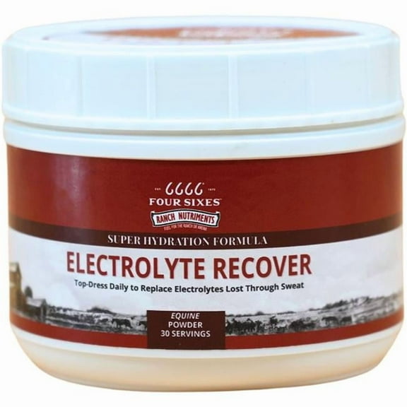 6666 Equine Supplements RNELECT30 6666 Electrolyte Recover Powder - 2.6 lbs