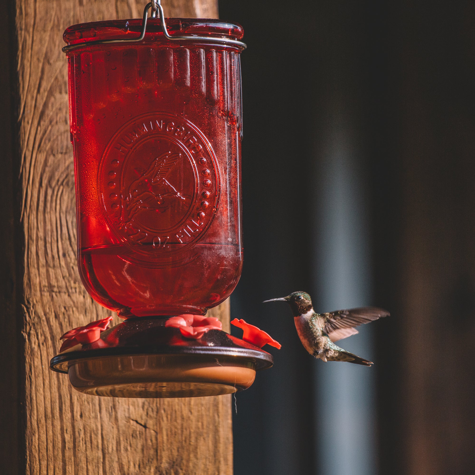 Backyard Expressions Red Embossed Oval Glass Hummingbird Feeder with Feeding Ports