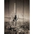 thumbnail image 3 of Prime, Marcus 15x18 Black Modern Framed Museum Art Print Titled - Western Vibes, 3 of 5