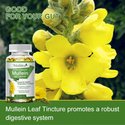 (2 Pack)Natural Mullein Leaf Capsules for Cleanse, Supports Healthy Respiratory, 240 Capsules