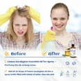 HIQILI Lemon Eucalyptus Essential Oil, 100% Pure Natural, 100mL for ...