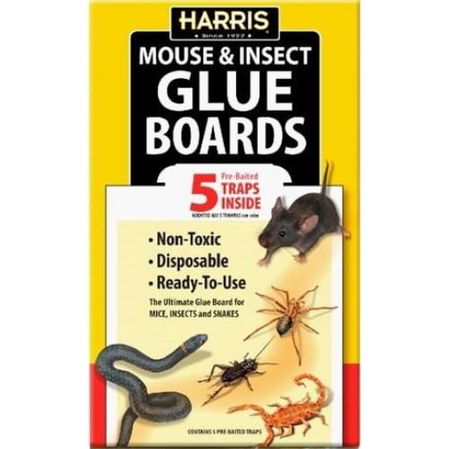 2 Mouse Glue Traps Sticky Boards Rat Mice Rodent Insect Disposable