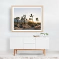 thumbnail image 4 of Four of Joshua Tree - Joshua Tree California Photography Desert Sunset Landscape Nature Scenic Cactus Wilderness Oak Framed Wall Art Print 11 x 14 inches, 4 of 5
