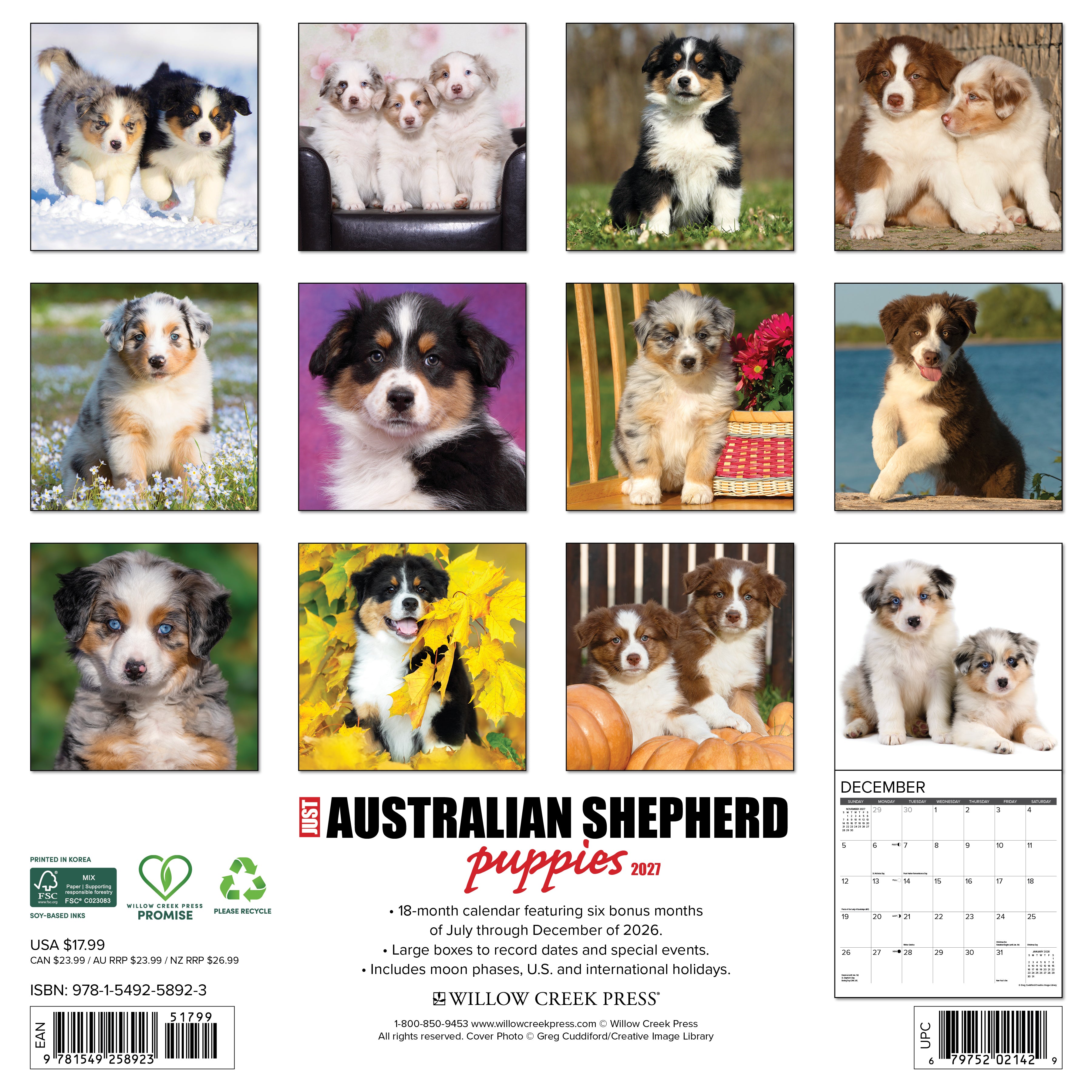 Willow Creek Press, Australian Shepherd Puppies 2027 Wall Calendar