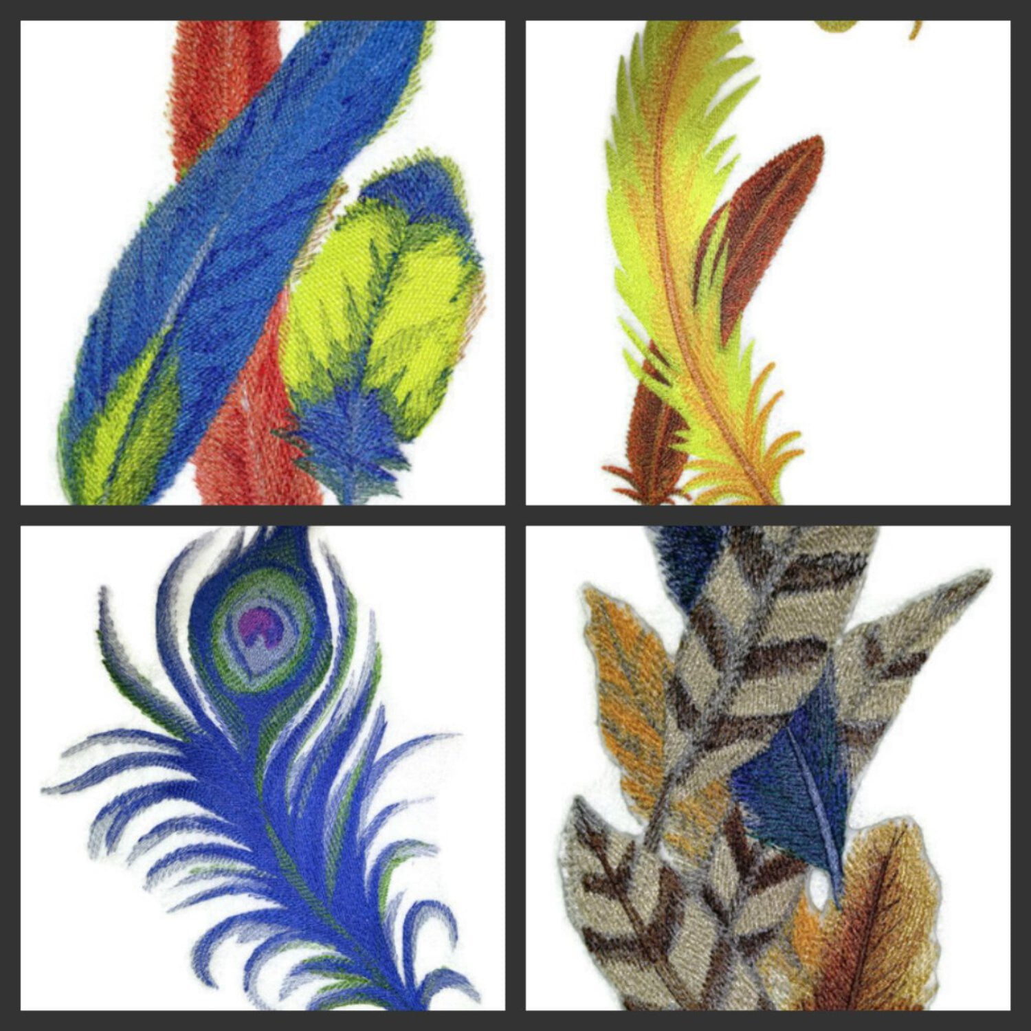 Scarlet Macaw Feathers in Watercolor Embroidered Iron on patch [11.24" X 4.52"]