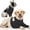 Black, variant on NCY Surgery Dog Recovery Suits for Front Legs, Dog Leg Sleeve to Stop Licking, Doggy Anti-Lick Wounds Pants, Pet Wound Cover Protective Sleeves Arm Protector for Injuries & Joint Pain