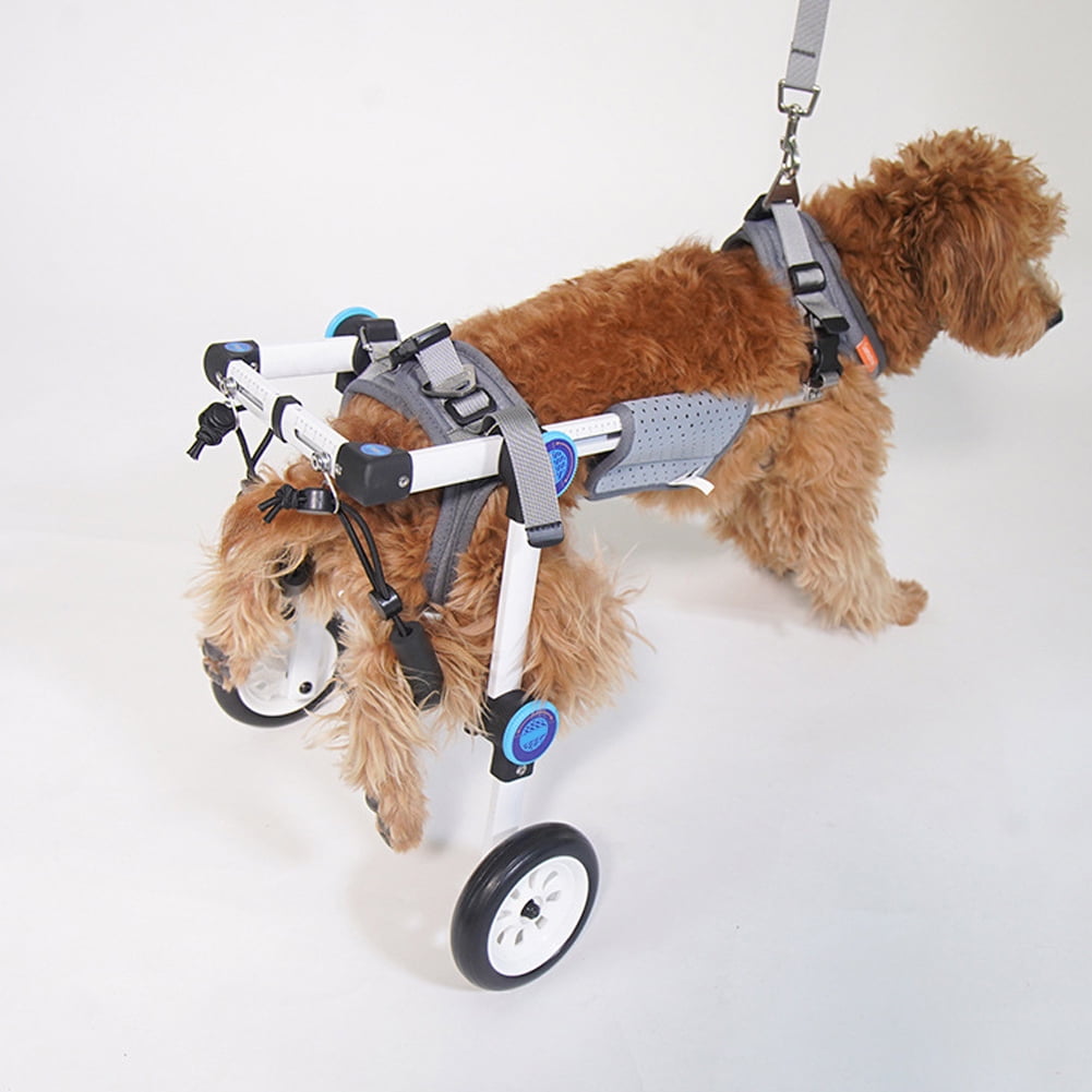 paralyzed dog harness
