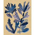 thumbnail image 2 of Wang, Melissa 20x24 Gold Ornate Wood Framed with Double Matting Museum Art Print Titled - Underwater Forest III, 2 of 4