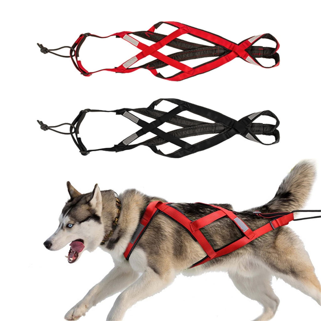 WINDLAND Dog Harness for Outdoor Sports and Adventures Use Skiing Running Pet Harnesses