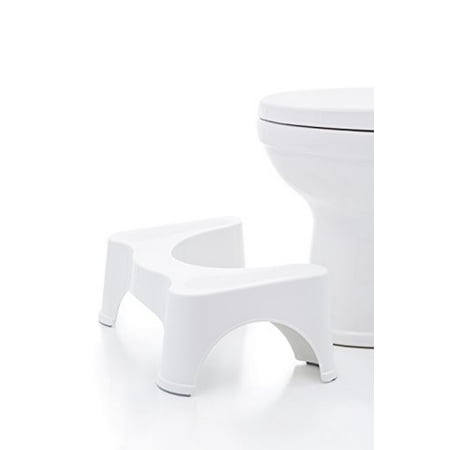 toilet potty bathroom toily frp squatty