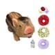 thumbnail image 5 of Muñeco de cerdito Reborn, Mini cerdito de juguete, cerdo de silicona realista, Mini cerdito de silicona para juegos de rol, accesorios de fotografía Estilo C, 5 of 8