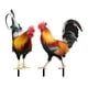 thumbnail image 2 of Estatua de gallo de acrílico, escultura de gallina y pollo, estaca de jardín con forma de gallo Estilo A y Estilo B, 2 of 9