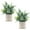 Sage Green, variant on 2 Pack Small Fake Plants Rosemary Potted Artificial Plants for Shelf Desk Home Bathroom Farmhouse Room Coffee Table Decor (Green)