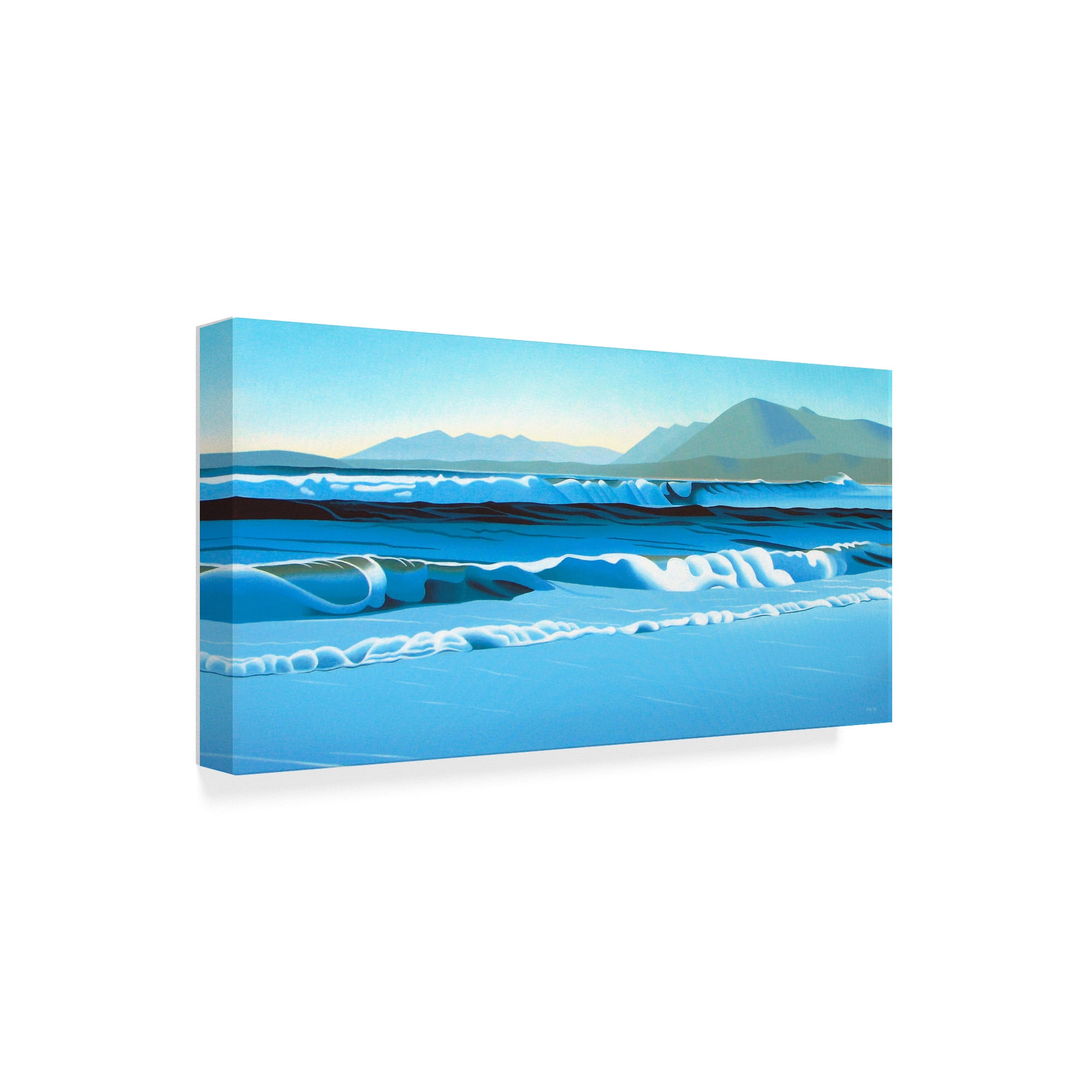 Trademark Fine Art 'Pacific Surf' Canvas Art by Ron Parker