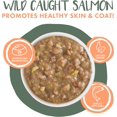 thumbnail image 4 of Weruva Stew! Stir the Pot Lamb, Chicken and Salmon Dinner in Gravy Wet Cat Food, 3 oz., Case of 12, 4 of 9