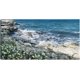 thumbnail image 1 of Cuadro Decorativo - A lo largo de la orilla Jr  Impresión en canvas, estrechado, 1 of 2