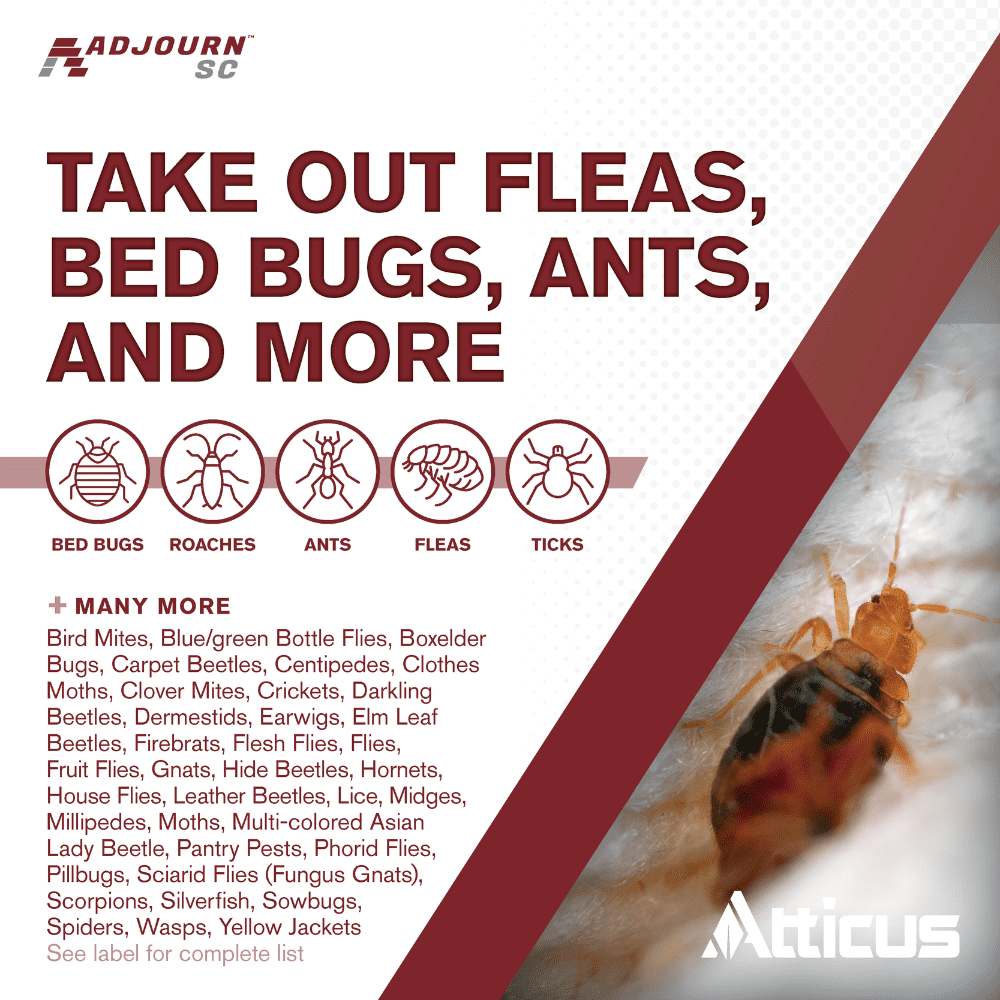 Adjourn SC (16 Ounce) Insecticide Concentrate - Indoor and Outdoor Insect Control - 4.75% Deltamethrin  by Atticus