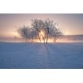 thumbnail image 2 of Z, Bingo 18x13 White Modern Wood Framed Museum Art Print Titled - Swan Lake, 2 of 4