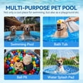 thumbnail image 6 of All For Paws Chill-Out 2-in1 Dog Swimming Pool & Splash Pad, 63” Outdoor Dogs Water Sprinkler Toy & Bathing Pool for Summer Fun, Large (63” x 11.8”), 6 of 8