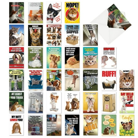 Best Pets Collection': 36 Assorted All Occasions Card With adorable, funny images of cats and dogs, with Envelopes (36 Designs, 1 Card Per Design).