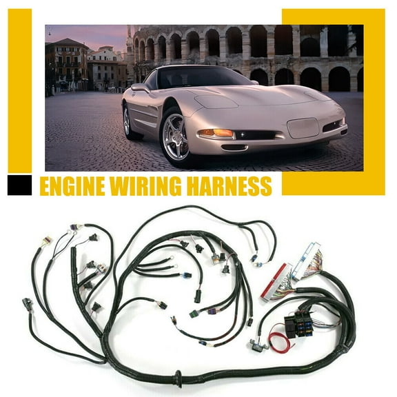 Standalone Wiring Harness T56 For 4.8/5.3/6.0L 1997-2006 DBC LS Swap LS1 Engine