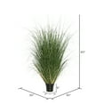 thumbnail image 3 of Vickerman 60" Artificial Potted Green Curled Grass., 3 of 6
