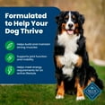 thumbnail image 5 of Blue Buffalo Life Protection Formula Adult Dry Dog Food, Lamb & Brown Rice, 5 lbs., 5 of 13
