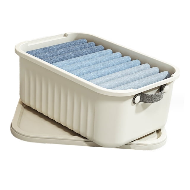 CAJA ORGANIZA DE ROPA DURADERA DE GRAN CAPACIDAD, PLÁSTICO PP, ASA PORTÁTIL, TAPA, DESERO MINIMALISTA PARA CAJÓN DE ARMARIO DOMÍSTICO